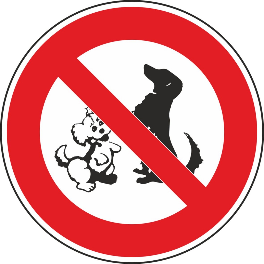 Hunde Verboten Schild Ausdrucken / Schild &quot;Hunde müssen draussen